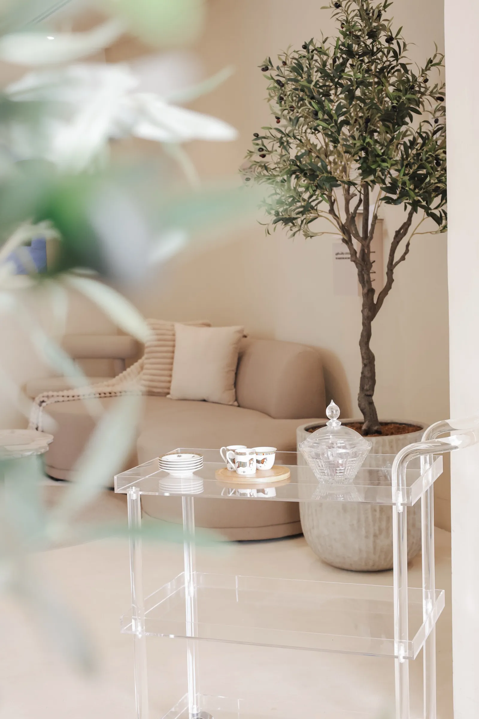 The LMA lounge with an olive tree